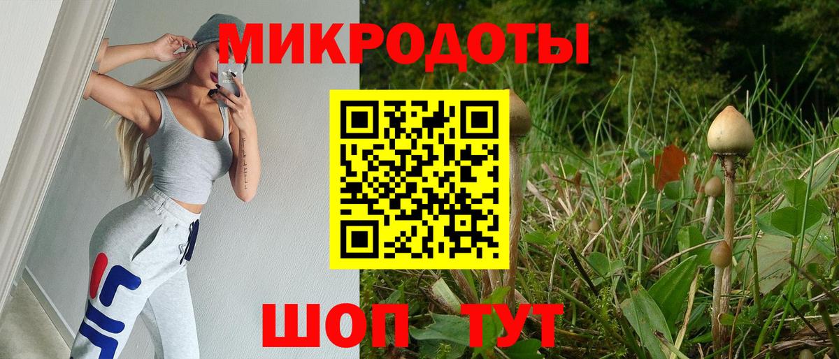 Галлюциногенные грибы мицелий Пермь