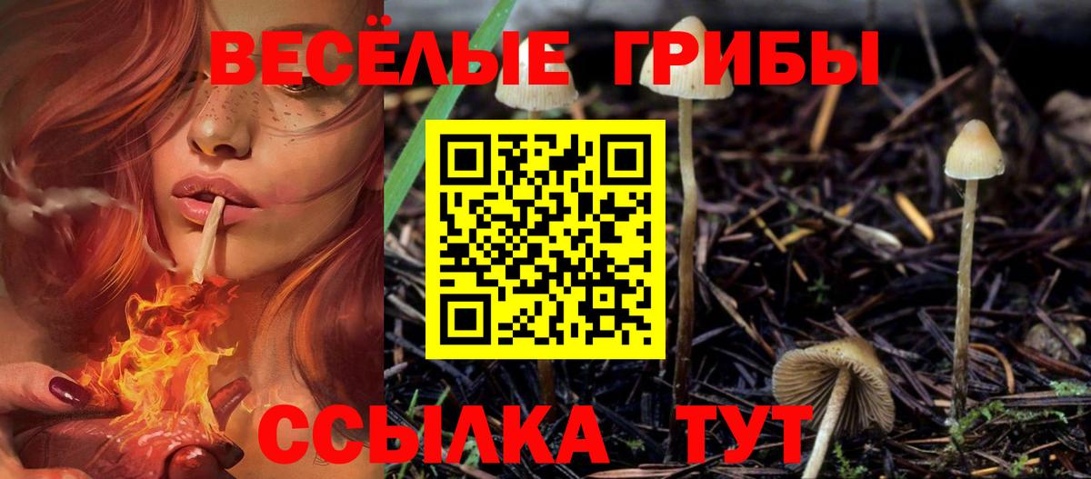 Галлюциногенные грибы Magic Shrooms  Вход с VPN  купить наркотики сайты  Псилоцибиновые грибы ЛСД  Пермь 